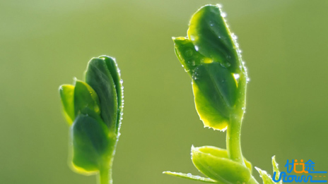 你必须明白的，关于生活、情感、坏情绪为人处事的这几点