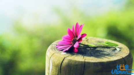 高考数学选择填空技巧