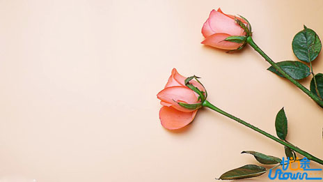 不与平凡为敌，不与平庸为伍