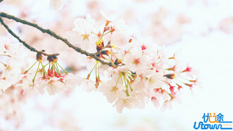 只要你肯努力，你想要的，岁月都会给你