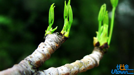 终身读书，快乐读书！