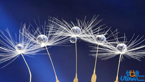 真正优秀的人，都有耐心