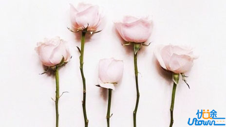 高中语文学习指南：做到了这些，不考高分都难! 