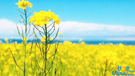 高考英语高分秘籍：英语快速提分技巧概述及听力提分篇