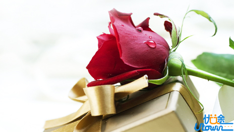 学会这 6 句口诀，横扫文言文断句题