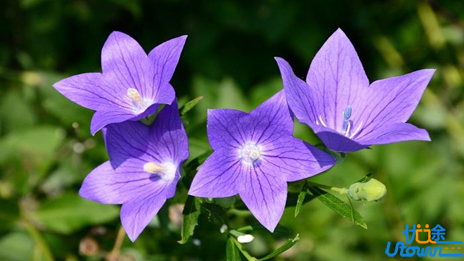 心存感激才能有所成就