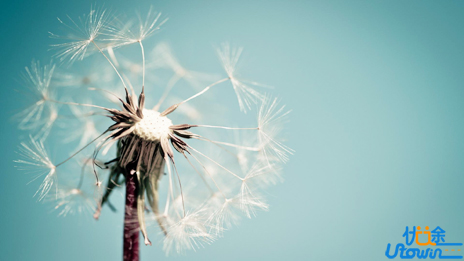 自信是人生很大的资本