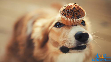 自律出众，不自律出局