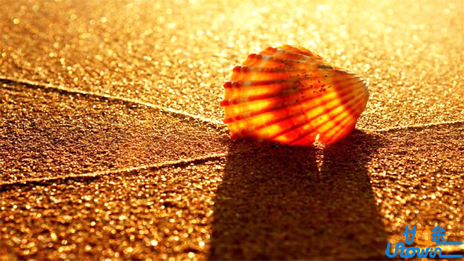 5个关于梦想的励志故事，值得一看