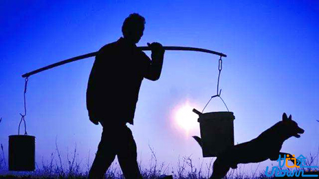 2019年感人的一个真实故事!