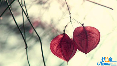 高考语文写景散文阅读答题技巧