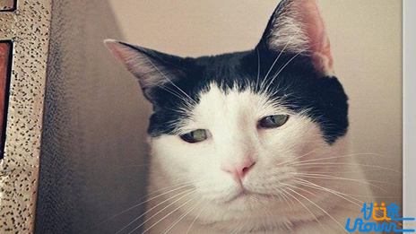 你不要总是那么不开心