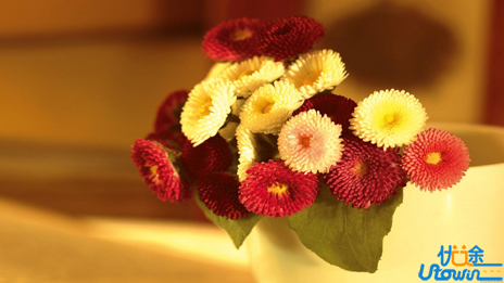 这100句自我激励的名言背后定有无数个励志的故事