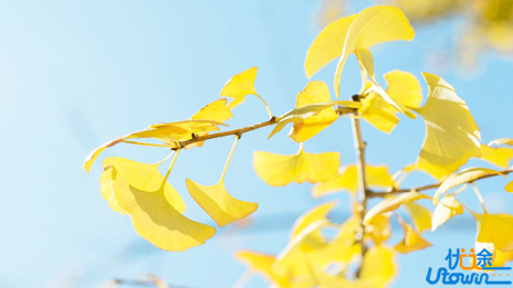 这十段话带给你的是豁然开朗