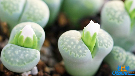 差生奇迹：一年从三本到北大