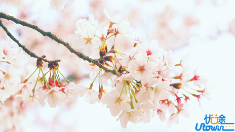 好好爱自己，是聪明的投资