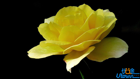 梦想要用努力去实现