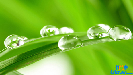 孩子，我拼尽全力让你读书，就是为了让你过得比我好