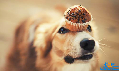 自律的人，终究会收获一个更好的自己