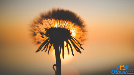 这些方法能够调整高考心态