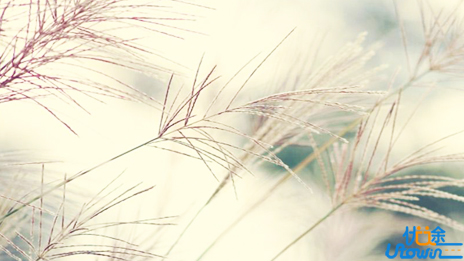 学好高中课程的小方法