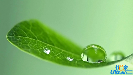 人生，就是一路艰辛，一路芬芳!