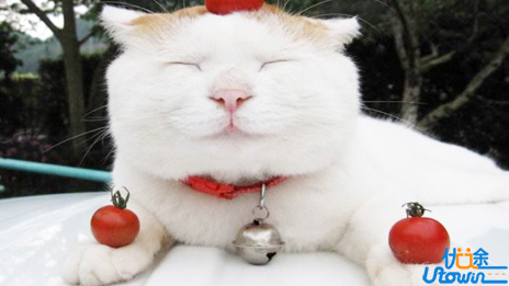 简介数列求和的七种方法