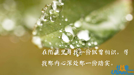 这五个故事能够影响你一生(二)