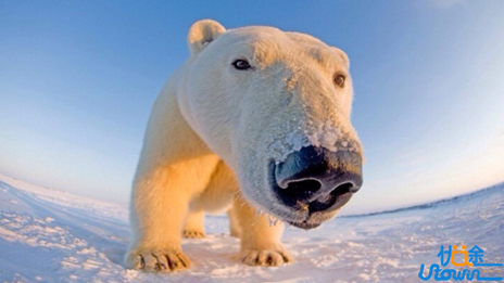 五个概括文章内容的方法