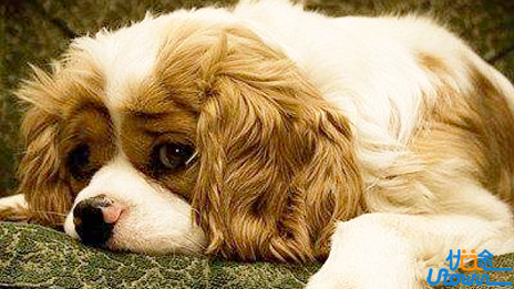 人可以承受挫折，但不能习惯挫败