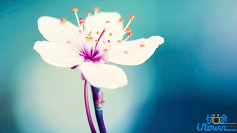 高中生必看!文言文断句的5个妙招，非常实用