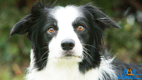 高中数学成绩不好?想要改变，就从戒掉这些怪习惯开始!