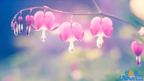 余秋雨：真正的风景，都只在人心