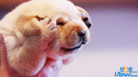 平静的情绪需要技巧