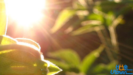 语文学习方法的精髓