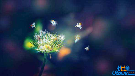 身残志坚的名人励志故事