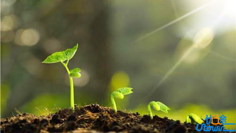 生活，体谅，理解