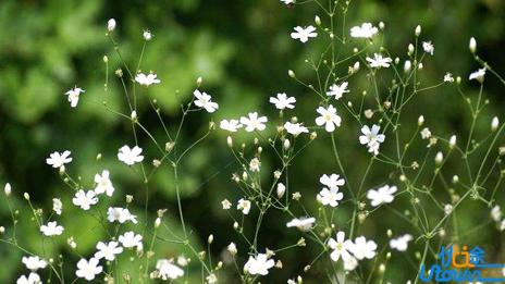 迷茫不可怕，找准定位很重要