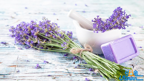 学好数学的4条经验、8种技巧、6个思想