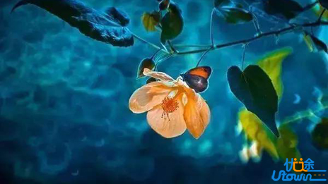 当明白了无常，你就不会张扬