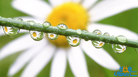 听听2019百名高考学霸对高三英语一轮复习怎么说