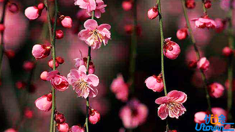 若无舍，怎有得