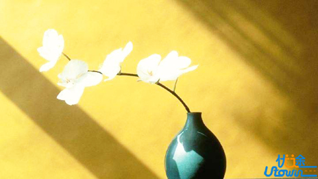 语文不在技巧，而在读书！