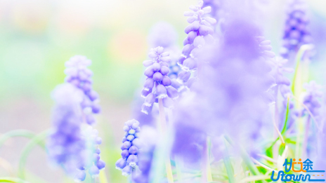 摆脱过度依赖，做一个内心强大的人