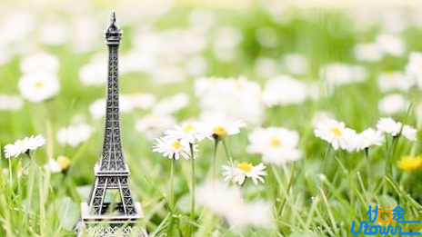 自我的个性和共性的培养