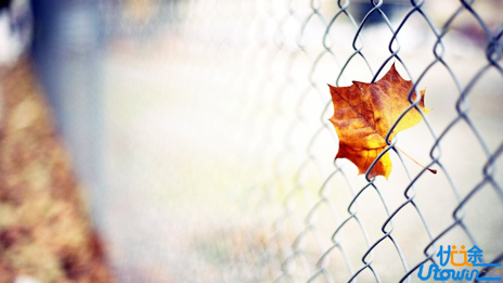 17个高效实用的学习习惯