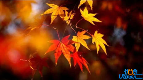 这5个迹象，暗示你正在慢慢变好