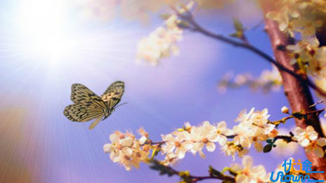 这16件事，助你不断塑造自我