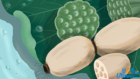 秋季养生，重在饮食！5种食物尽早列入饮食清单