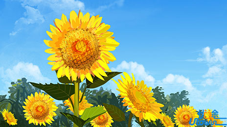 2016自主招生面试可能考到的50个社会热点